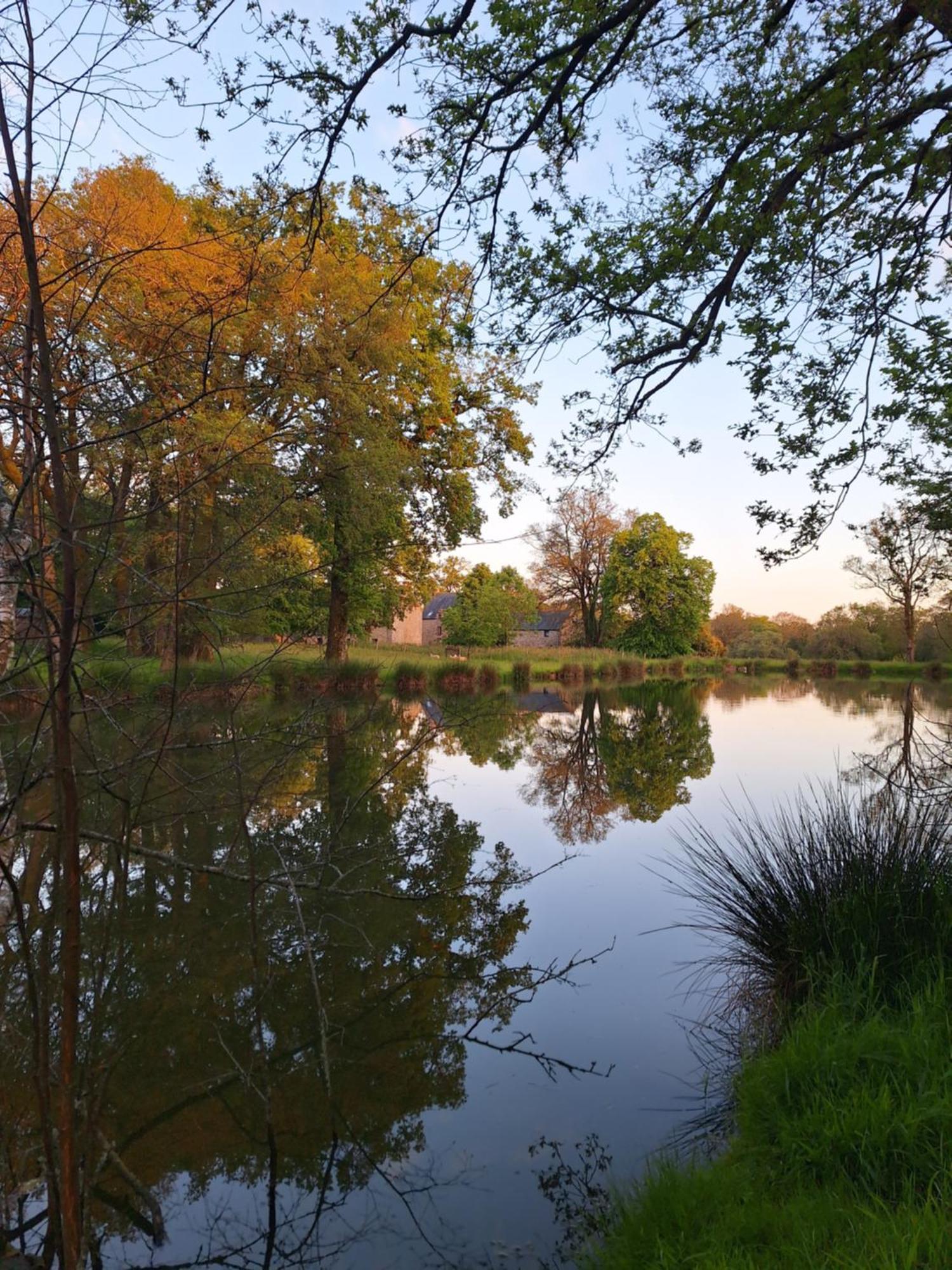 Domaine De Bobehec - Gite De Groupe, Chambres & Salle - 23 Personnes - Morbihan Proche Vannes Et Plages La Vraie-Croix 외부 사진